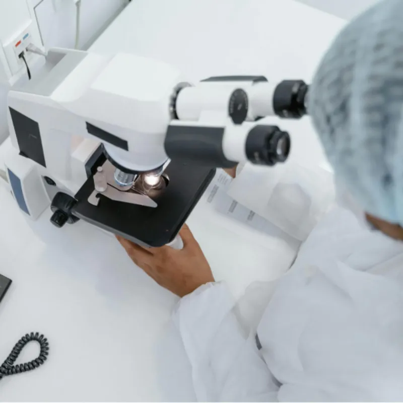 Diverse Model Options