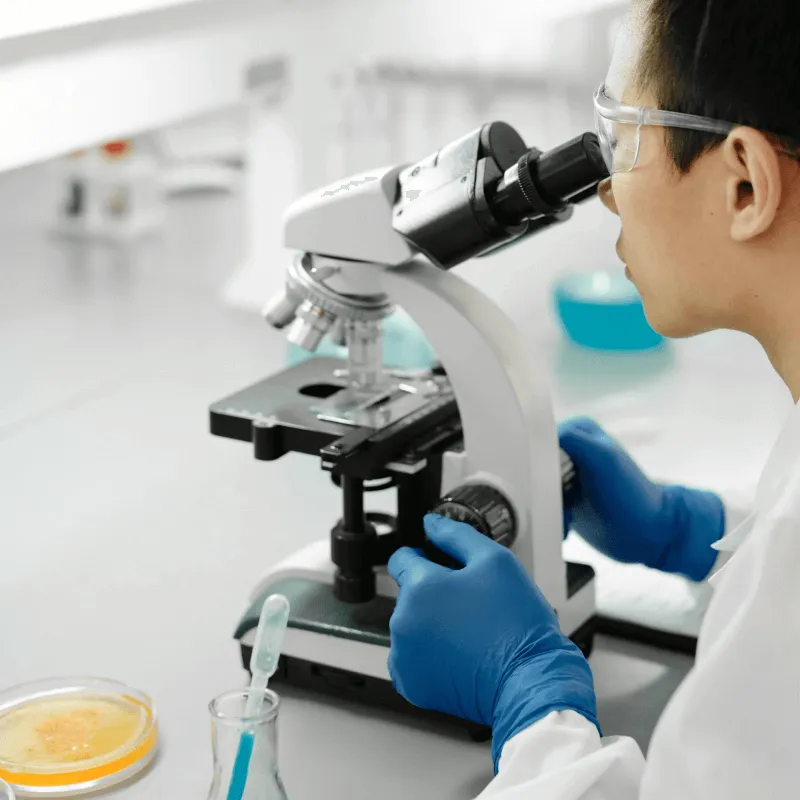 Non GLP Toxicology Studies