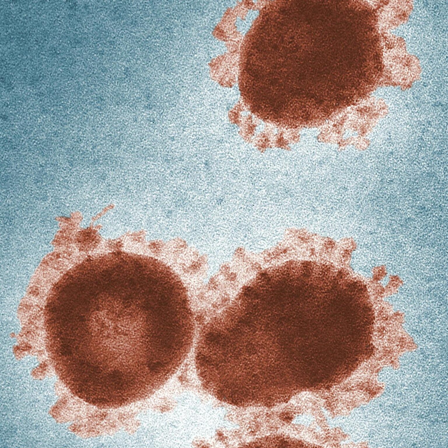 infectious diseases CRO