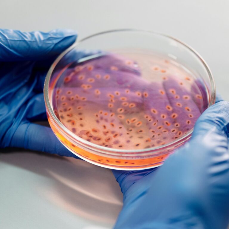 infectious diseases CRO